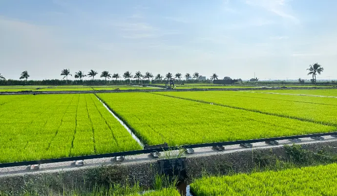 Crop Variety