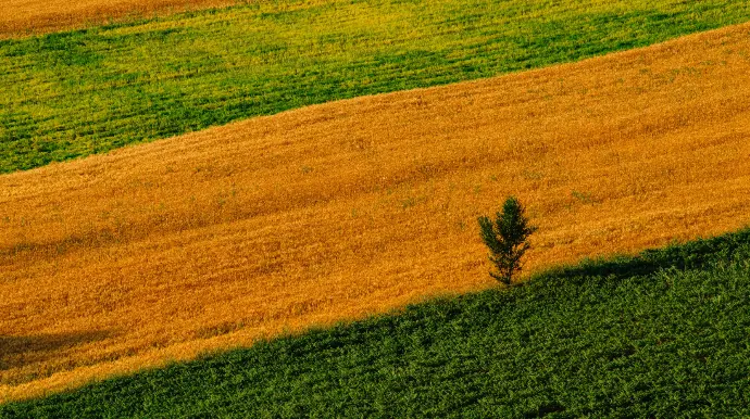 Farmers Financial Solutions