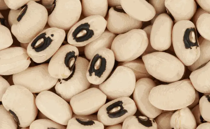 Cowpeas