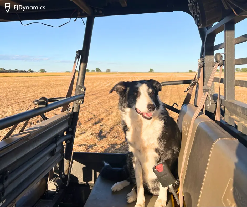 FJD AT2 Max Auto Steer System guiding a tractor in a field with a loyal dog nearby