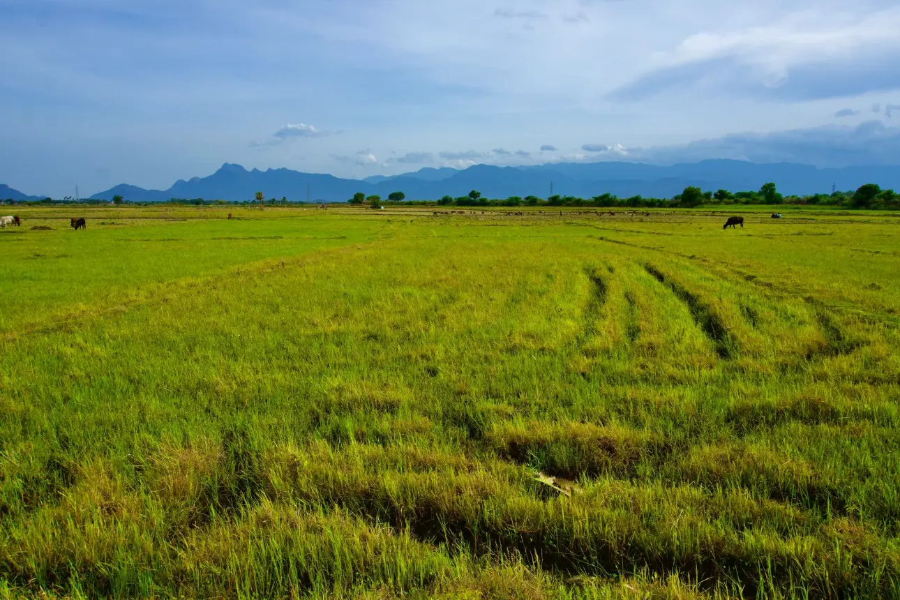 Hilly Terrain