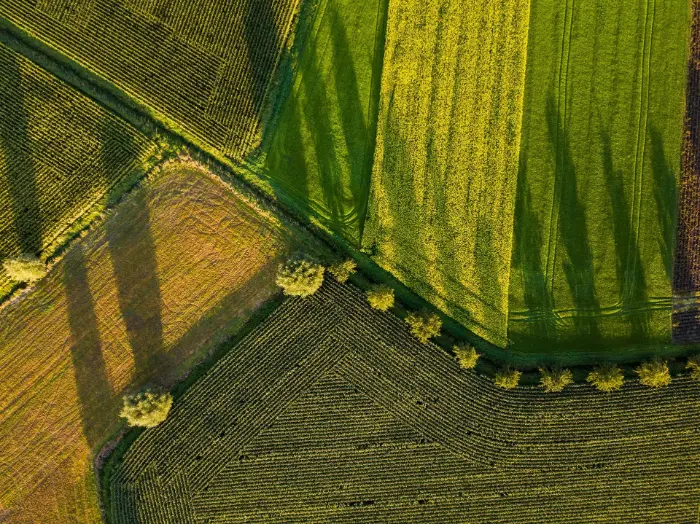 Aerial view of colorful crop fields