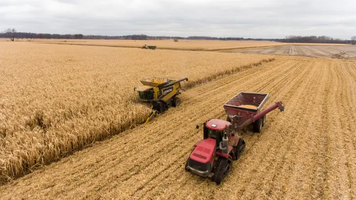 Combine harvester and tractor in cornfield