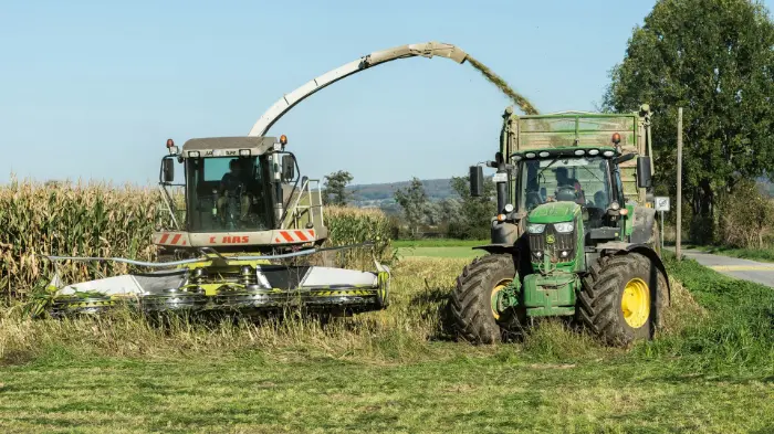 Corn harvesting with forage harvester and tractor