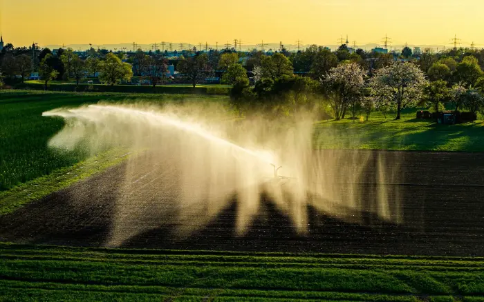 Farmland sprinkler at sunset