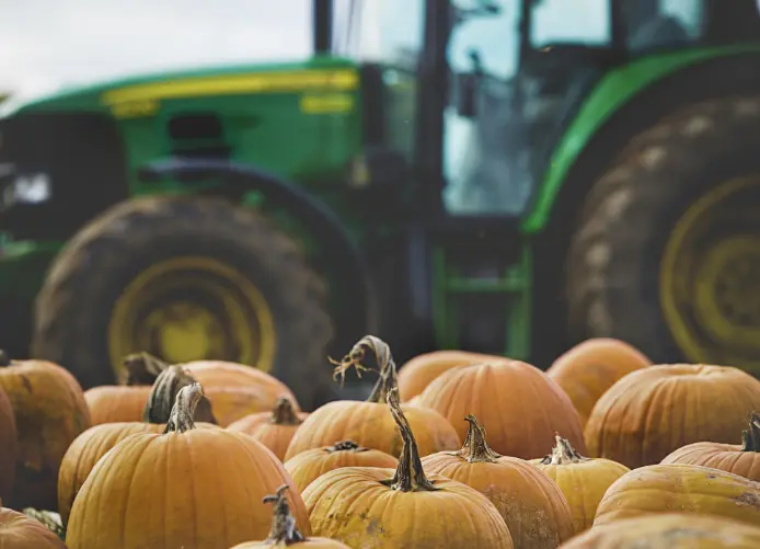 Smart farm equipment operating in the field with harvested pumpkins, showcasing how intelligent farm equipment increases crop yield and harvest efficiency