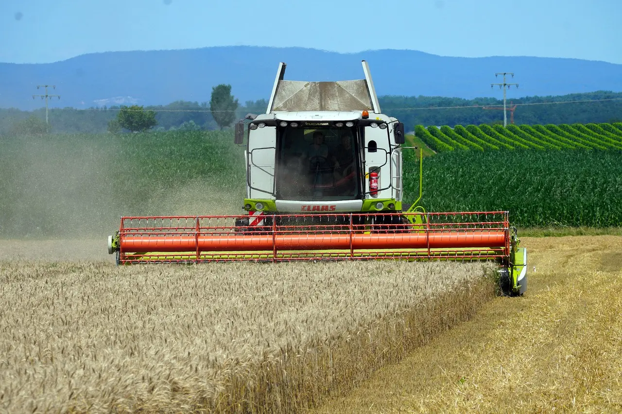 Efficient harvesting in action: A CLAAS combine demonstrates precision agriculture technology, cutting a swath through a ripe wheat field while operators monitor the process from the cab, highlighting the synergy of human expertise and advanced machinery.