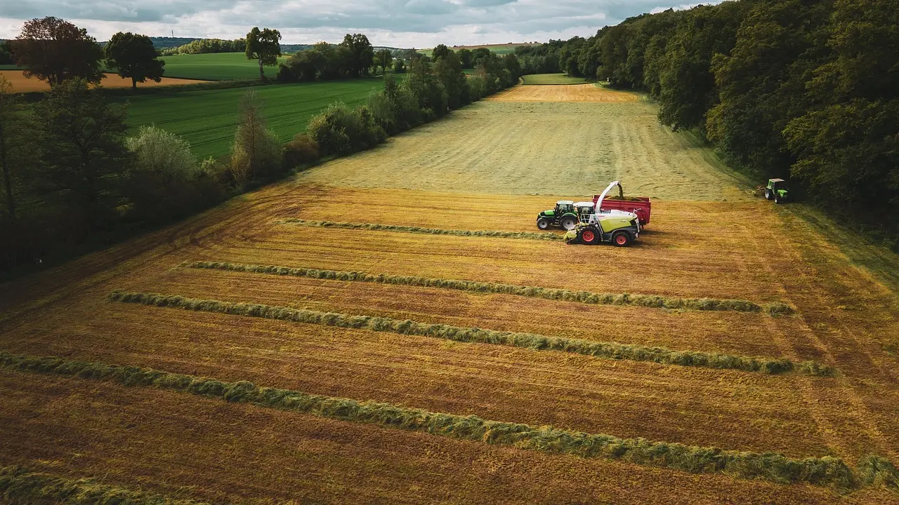 An aerial view of autumn harvest: A yellow, green, and red forage harvester pumps fresh crop into a red trailer, with a green tractor waiting nearby. The harvested golden fields are surrounded by dense green woods under a soft, cloudy sky, showcasing coordinated agricultural activity.