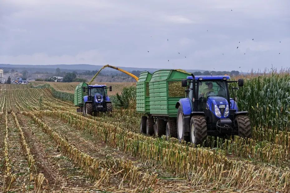 Efficient agricultural resource recovery in action: a coordinated operation using a forage harvester and tractor-trailer to collect and transport corn residue. This scene demonstrates modern practices for managing crop byproducts efficiently within a large-scale farming landscape.