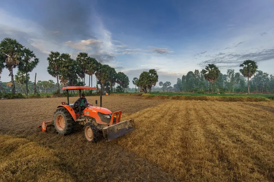 Modern agricultural practice in action: an orange tractor performs field operations amidst crop residue, representing efficient land management within a serene, tree-lined rural setting.