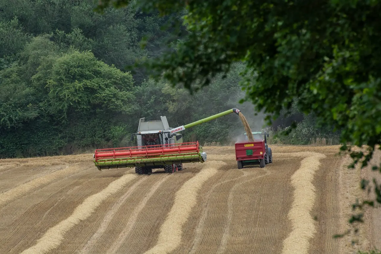 A green and red combine harvester unloads grain via a long green chute into a matching red grain cart during harvest. Set against a backdrop of lush, dense green woods, the scene captures the efficient, vibrant activity of a modern agricultural harvest.