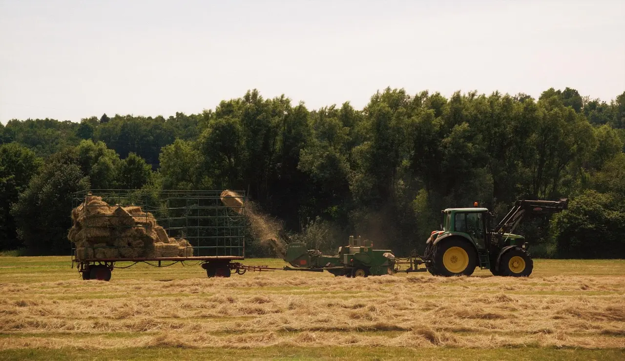 Modern farm material handling in action: a versatile green tractor with front loader transports harvested hay bales. This image captures a key step in the forage logistics chain, showcasing the integration of machinery and the managed landscape essential to contemporary agricultural operations.