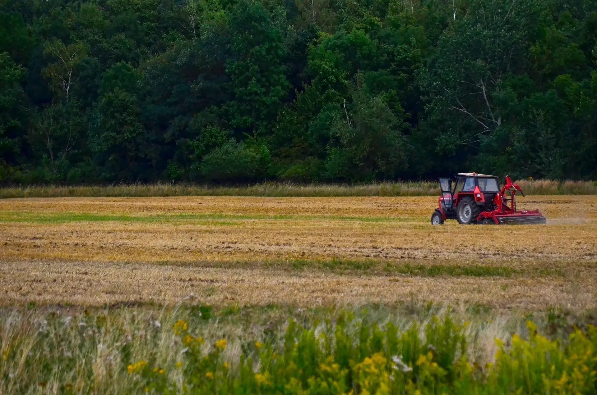 A green tractor with distinctive yellow front and rear wheel hubs is parked in a vast, golden field, hitched to a red implement for raking or windrowing hay. The scene employs a natural frame of blurred green foliage in the foreground. The expansive pastoral backdrop features open fields, distant dark farm buildings, and rolling hills under a cloudy sky. With the tractor positioned slightly to the right of center, the harmonious composition and contrasting colors of green, yellow, red, and gold capture a serene and picturesque moment of agricultural work in the countryside.